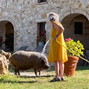  Alloggio per agriturismo Sole